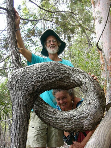 Fraser Island 1